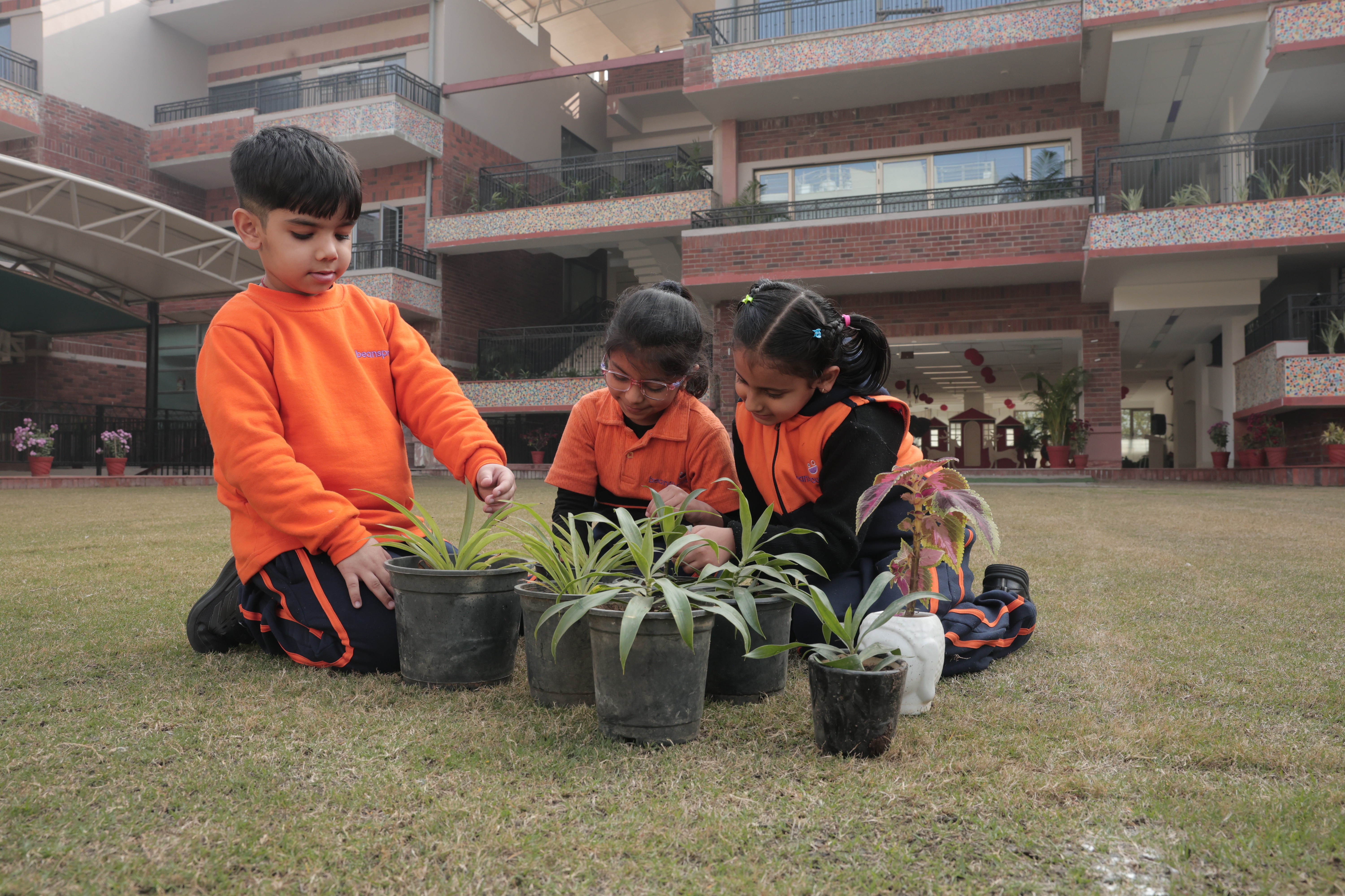 Gardening
